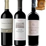 Análisis y comparativa de los mejores vinos tintos de Ribera del Duero: descubre las joyas enológicas de la región