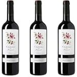 Guía de compra de vino Priorat: Descubre las mejores opciones en Análisis y Comparativa Guía de compra de vino Priorat: Descubre las mejores opciones en Análisis y Comparativa