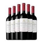 Análisis de Viña Mayor Ribera del Duero Tempranillo: El secreto detrás de uno de los mejores licores